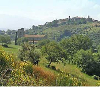 Francesco Monaci