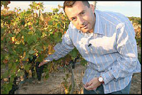 Juanjo Galcera Pinol, Winemaker