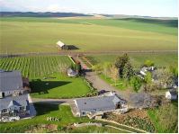 Abeja Winery