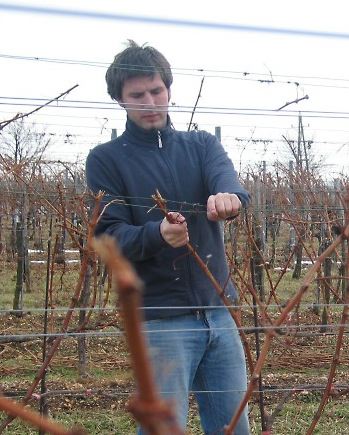 Claus in the Vineyard