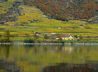 The Loibenberg Vineyard